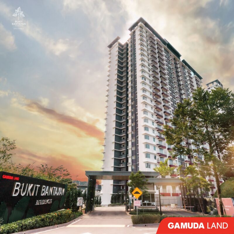 488907807_1118263960327133_4583943758479433690_n